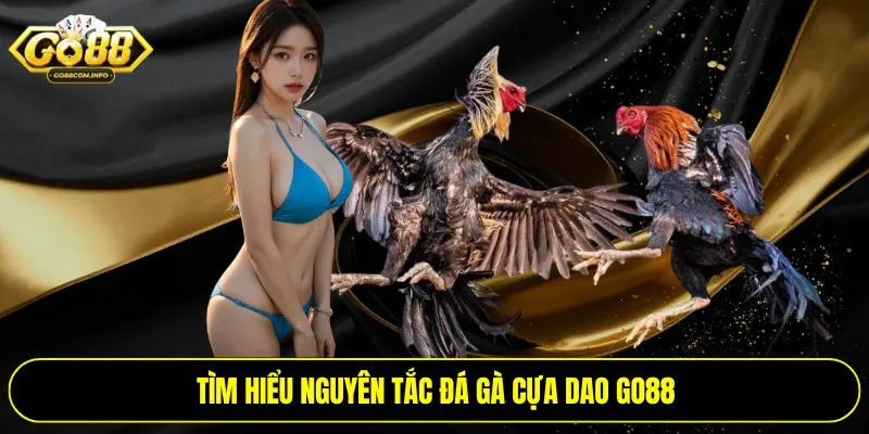 Tìm hiểu nguyên tắc đá gà cựa dao Go88