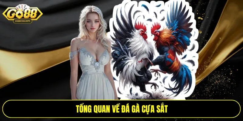 Tổng quan về đá gà cựa sắt