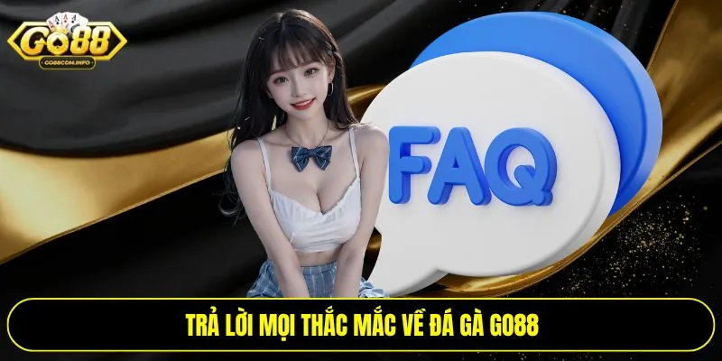 Trả lời mọi thắc mắc về đá gà Go88