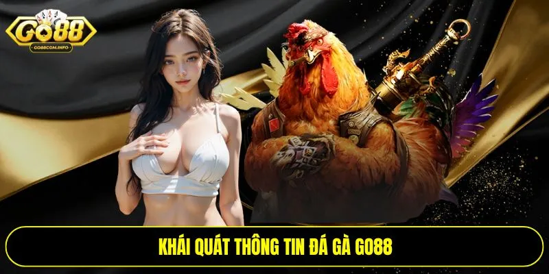 Khái quát thông tin đá gà Go88