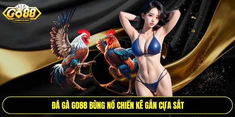 Đá gà Go88 bùng nổ chiến kê gắn cựa sắt